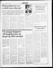 Síða 19