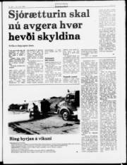 Síða 5