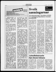 Síða 6