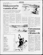 Síða 9