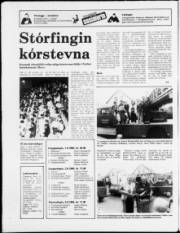 Síða 20
