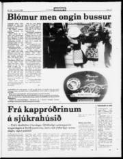Síða 13