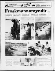 Síða 15
