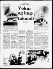 Síða 3