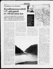 Síða 10