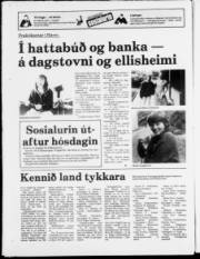 Síða 20