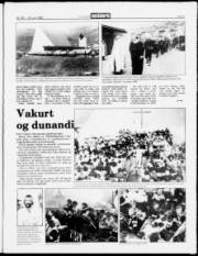 Síða 3