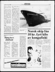 Síða 3