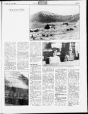 Síða 19