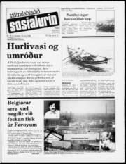 Síða 1