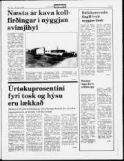 Síða 3