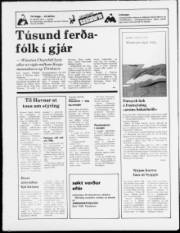 Síða 12