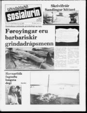 Síða 1