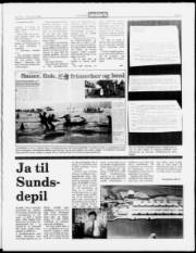Síða 3