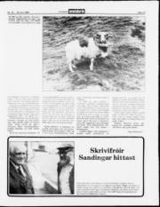 Síða 13