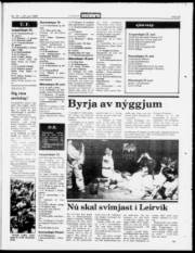 Síða 23