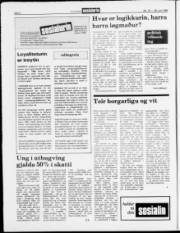 Síða 6