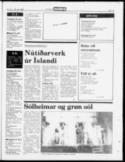 Síða 15
