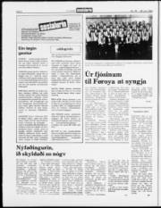Síða 6