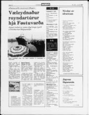 Síða 10