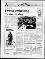 Síða 12