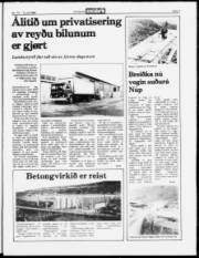 Síða 3