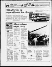 Síða 20