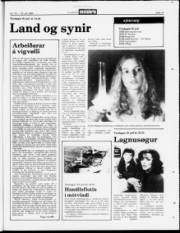 Síða 11