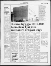 Síða 2