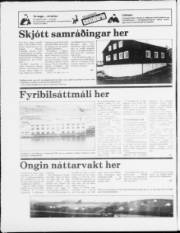 Síða 12
