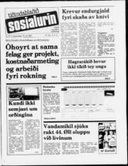 Síða 1