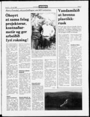 Síða 3