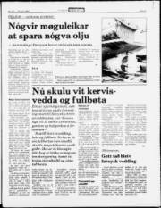 Síða 5