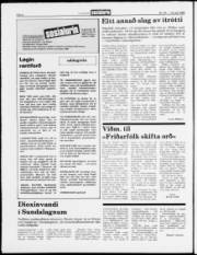 Síða 6