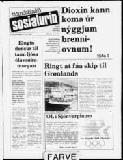Síða 1