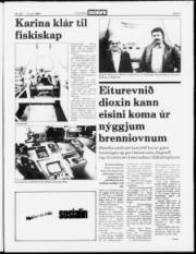 Síða 3