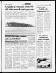 Síða 3