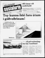 Síða 1