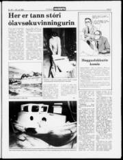Síða 3