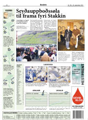 Síða 15