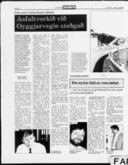 Síða 8
