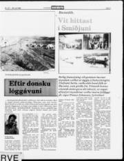 Síða 9