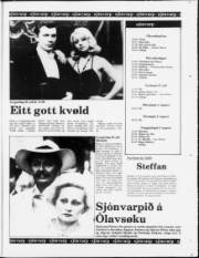 Síða 15