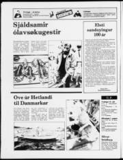 Síða 12