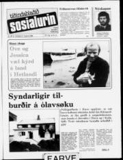 Síða 1