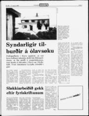 Síða 3