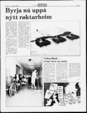 Síða 5