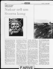 Síða 8