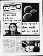 Síða 1