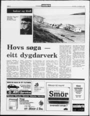 Síða 2